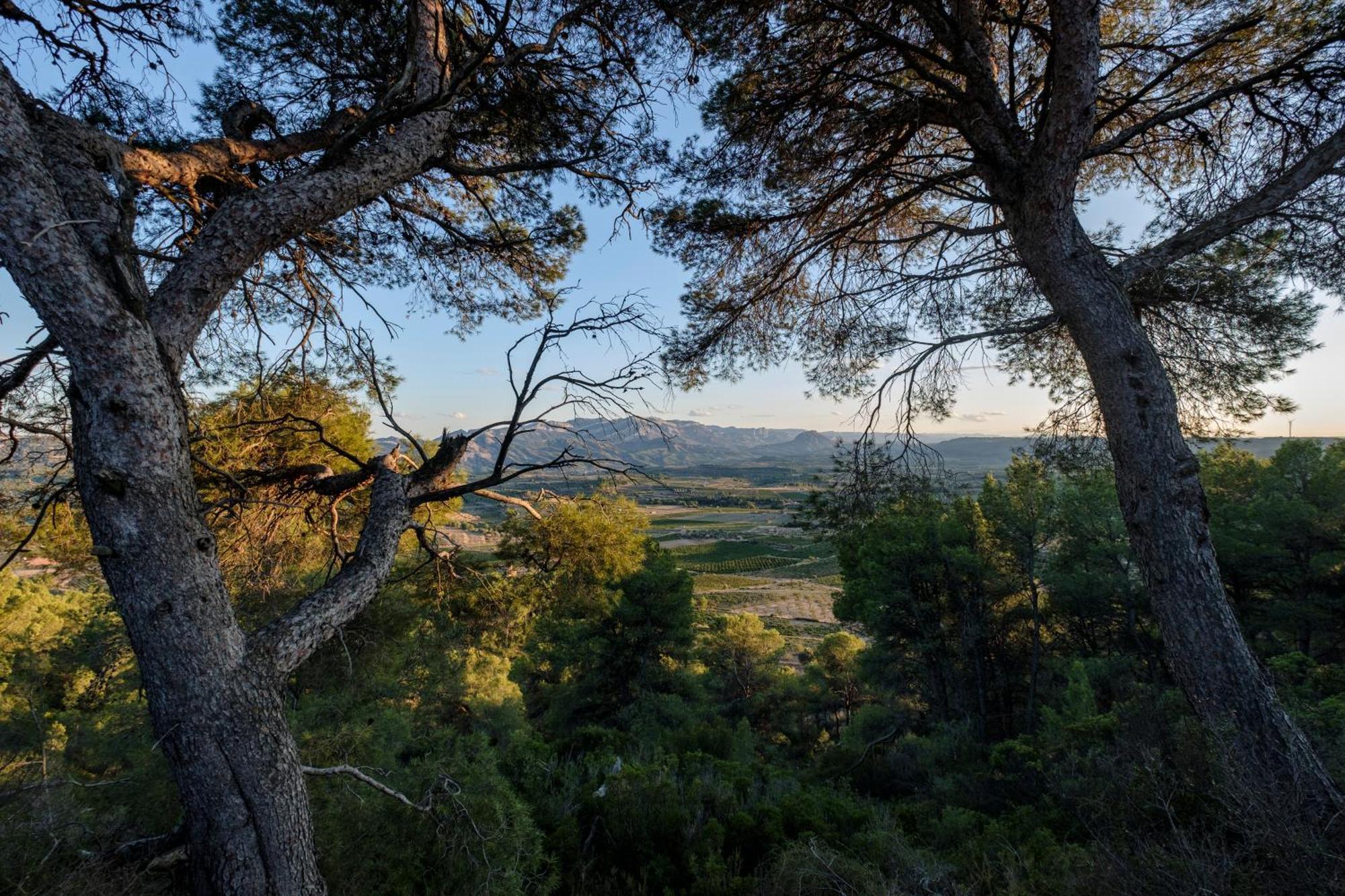 Enoturismo Celler Pinol Lägenhet Batea Exteriör bild